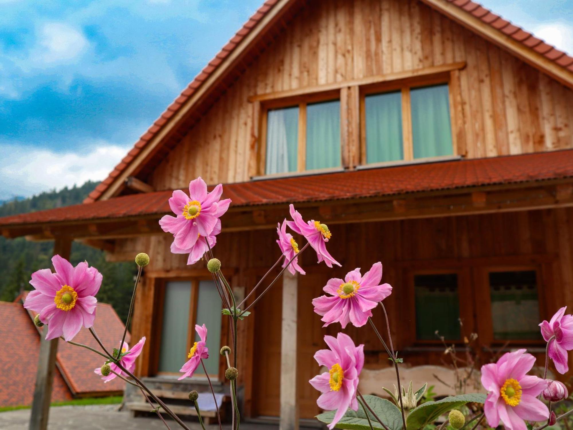 Dolomiti Village Comeglians エクステリア 写真